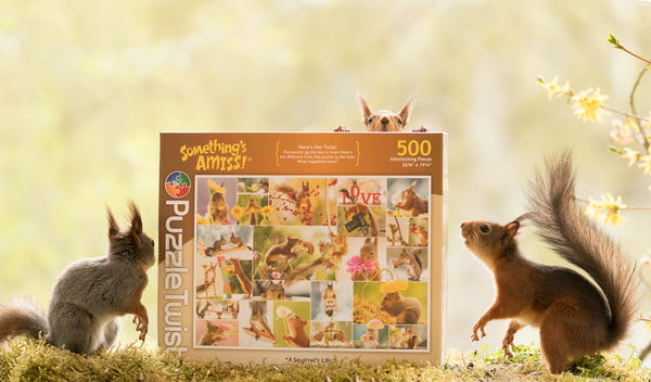 Squirrel's Life