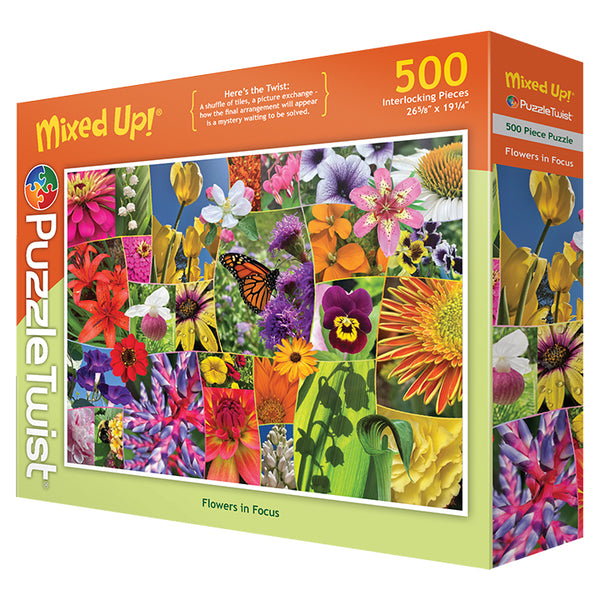 Flowers in Focus