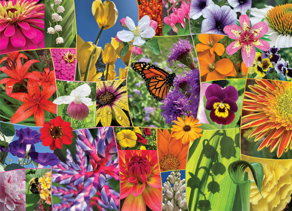 Flowers in Focus