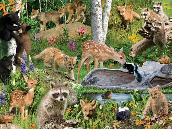 Wild Wonders 500 Piece
