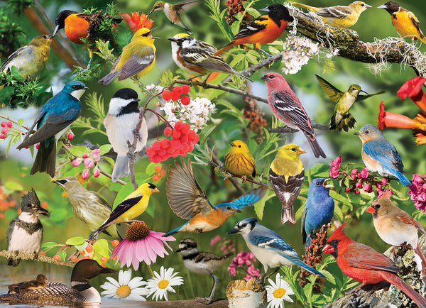 Winged Wonders
